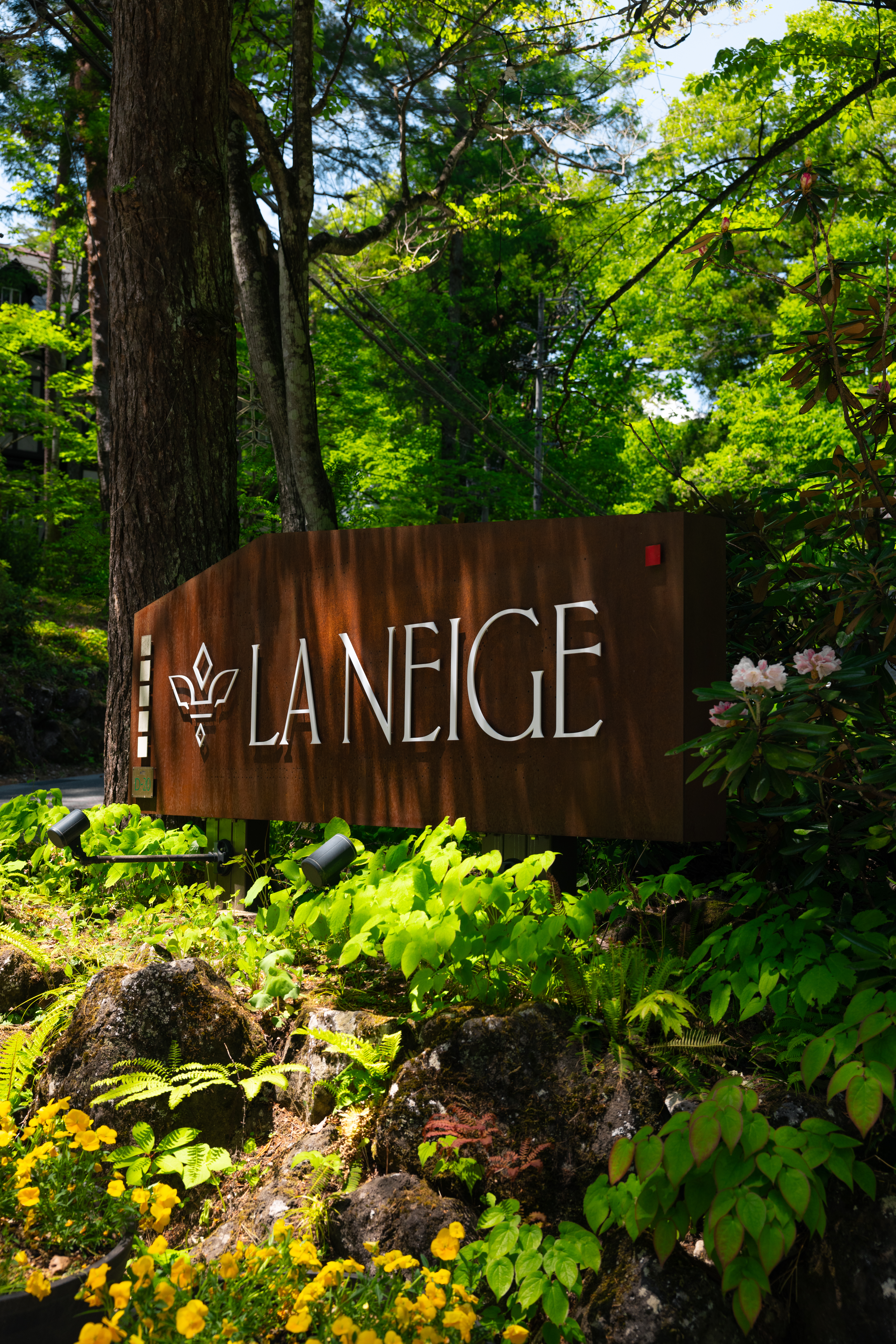Hotel La Neige | Hakuba's Premiere Forest Retreat