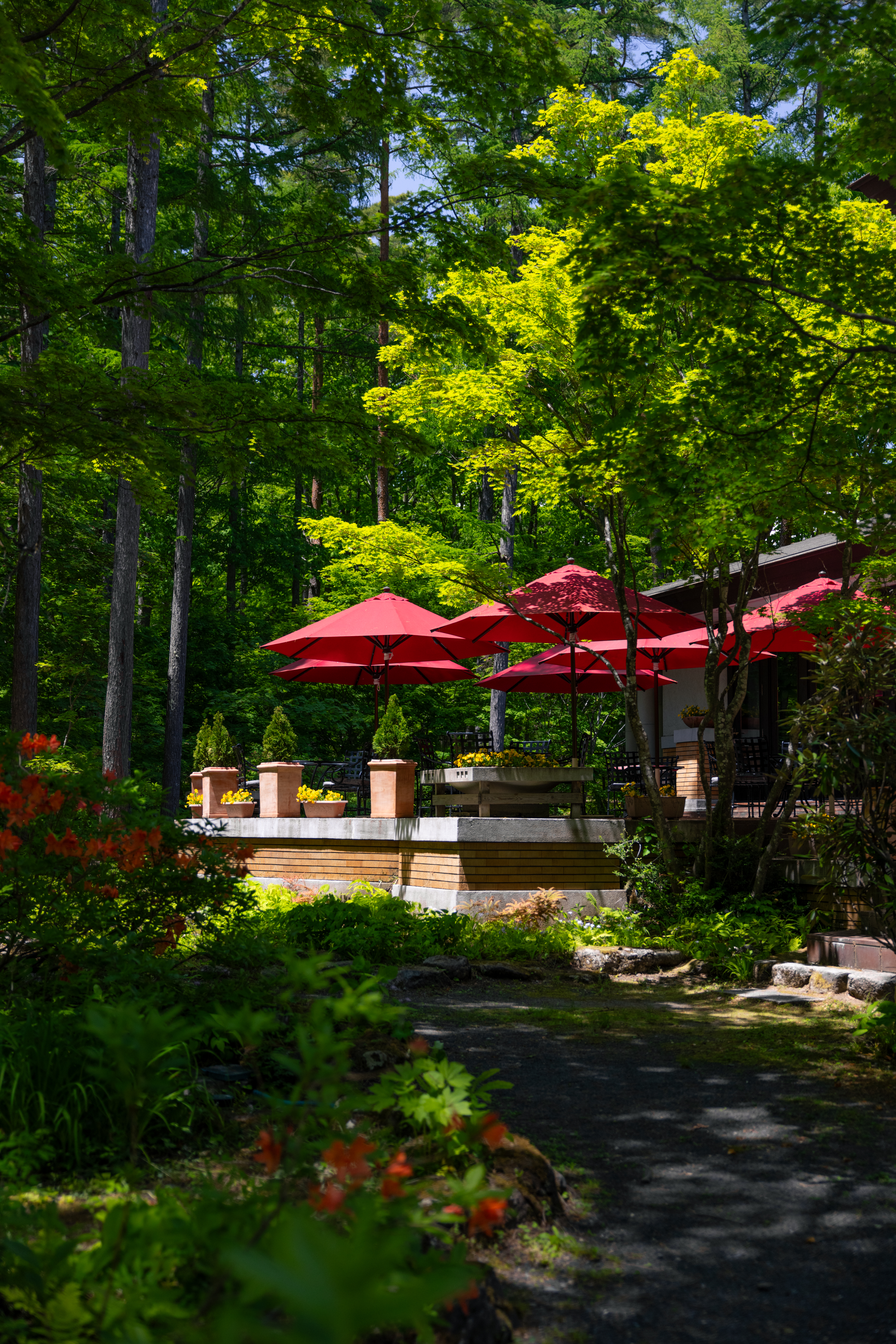 Hotel La Neige | Hakuba's Premiere Forest Retreat